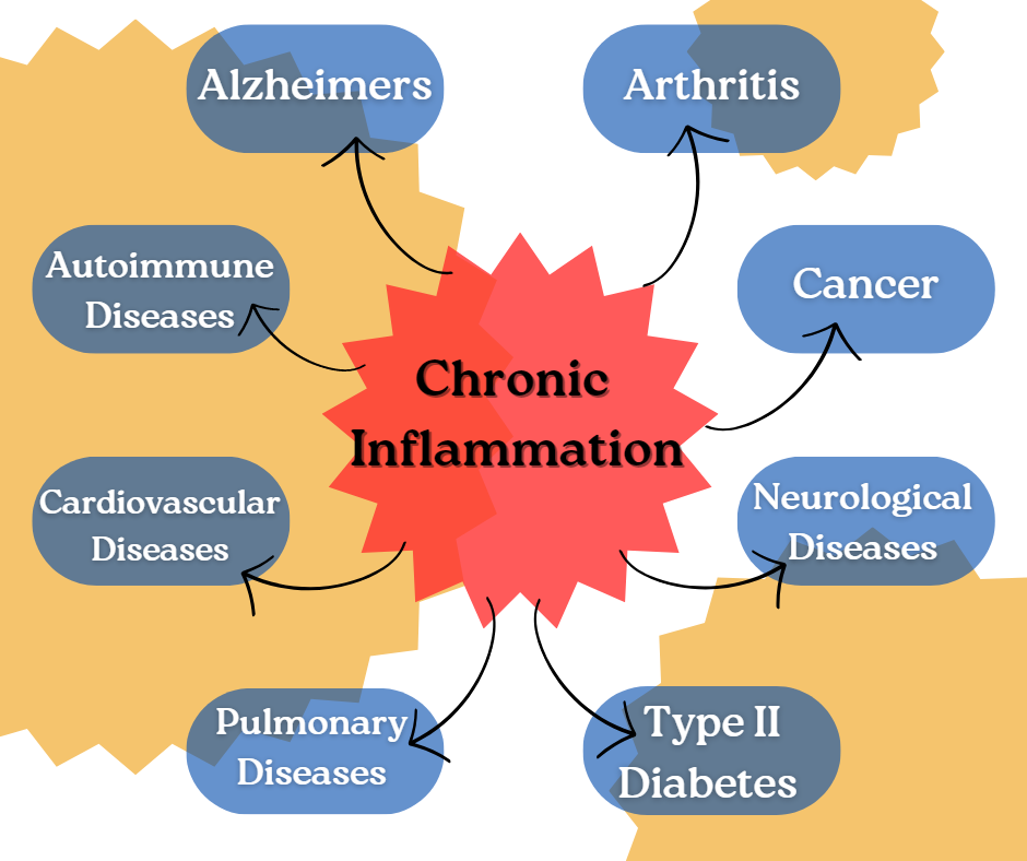Chronic Inflammation Project Chiro Chiropractic Chiropractor Health and Wellness Fitness Health Wellness Holistic Health Healthcare